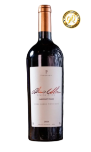 Vinho Cabernet Franc Alcino Alves Vinícola Panorama 90 pontos Grande Prova Vinhos do Brasil 2026