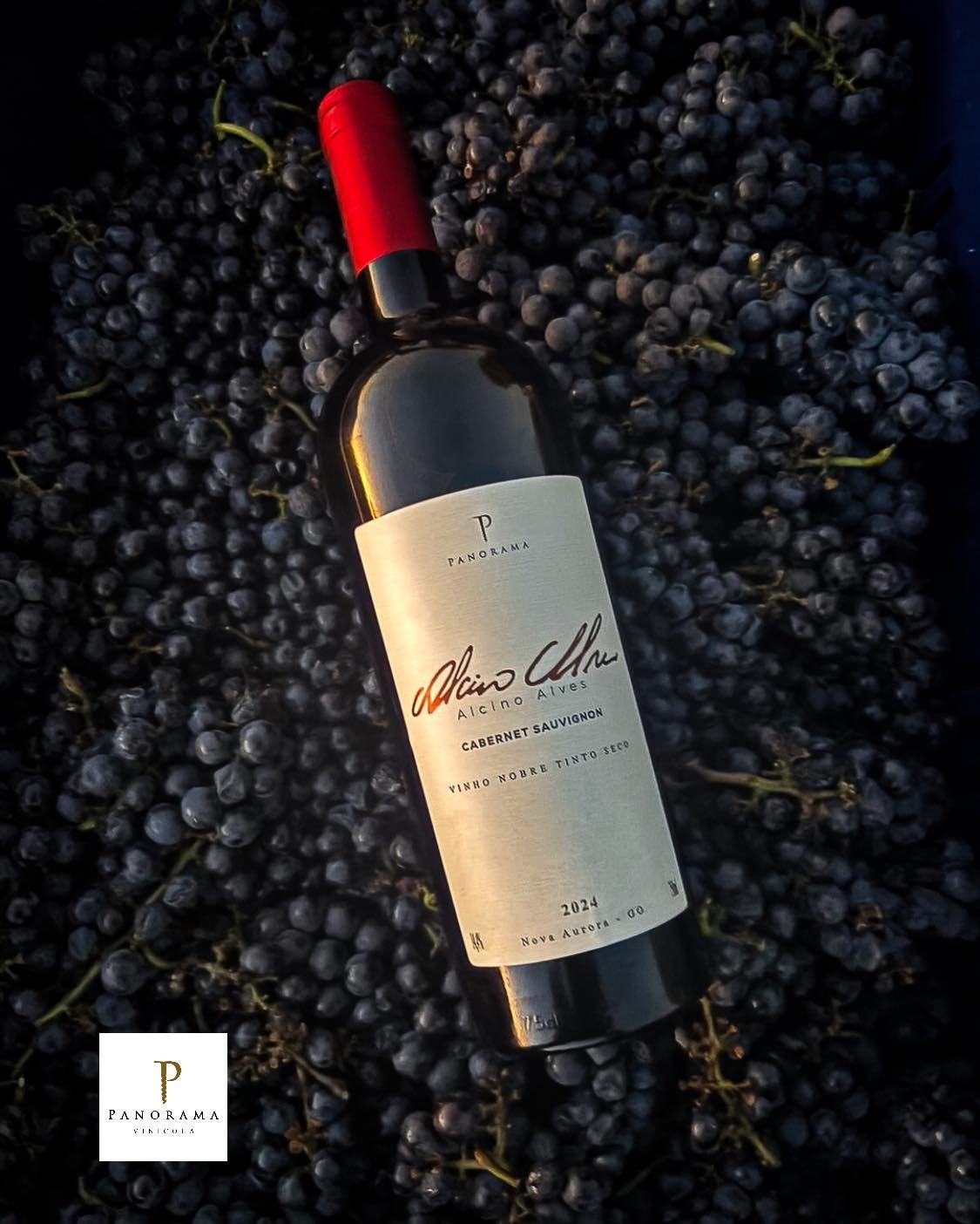 vinho-cabernet-sauvignon-alcino-alves-vinicola-panorama-vinhos-brasileiros