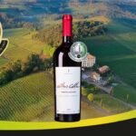 Vencedores do Brasil Selection 2025: A excelência dos vinhos nacionais