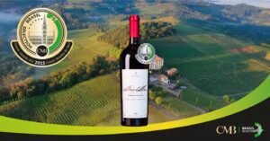 Vencedores do Brasil Selection 2025: A excelência dos vinhos nacionais